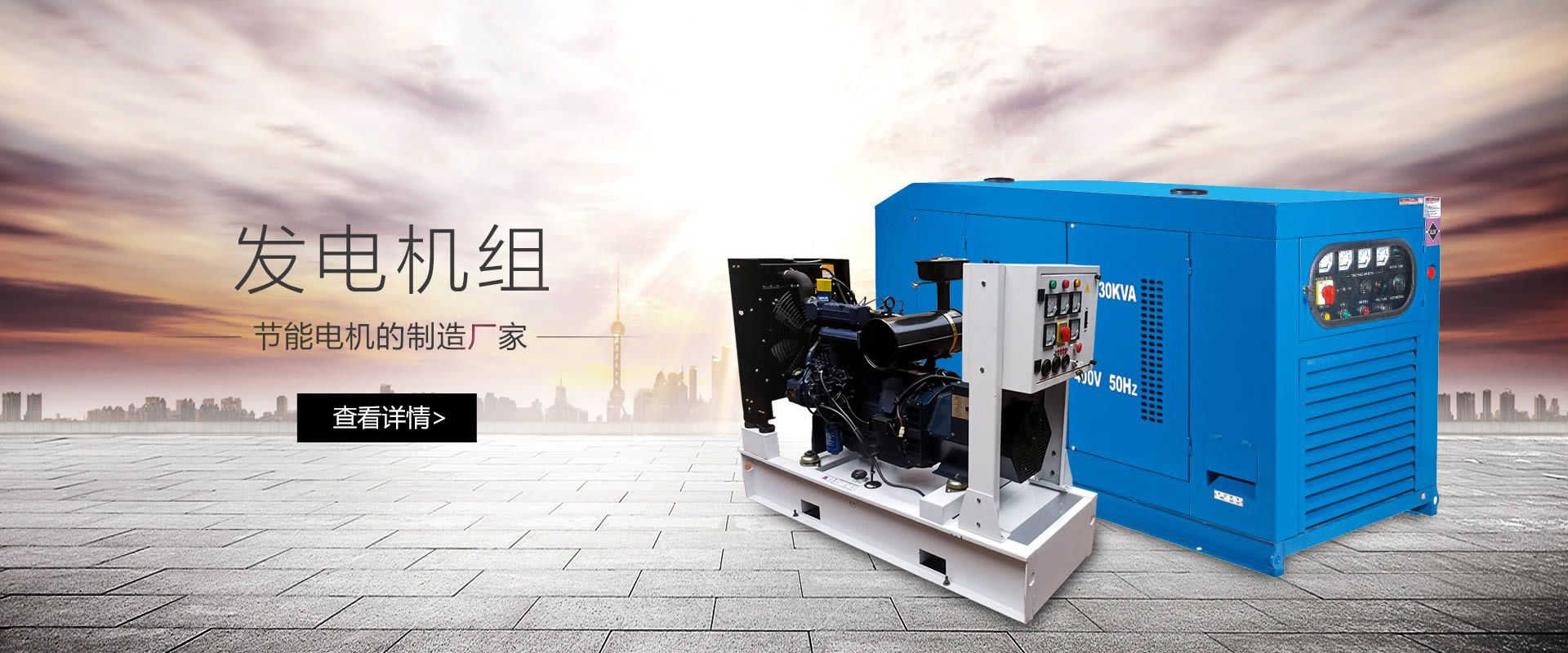 狮子电机,lion motor,lionmotor