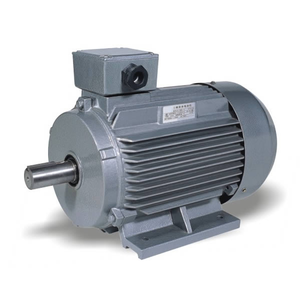 Y2 series three phase induction motor