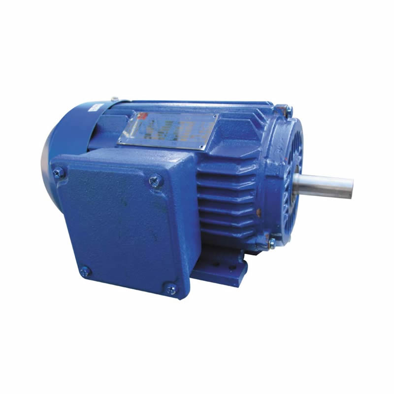NEP series premium-efficiency induction motor