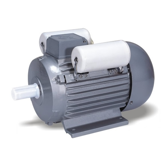 YL series single-phase two-value capacitor indection motor